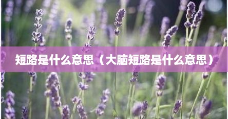 短路是什么意思（大脑短路是什么意思）