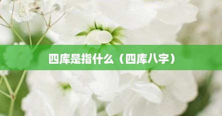 四库是指什么（四库八字）