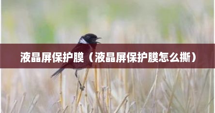 液晶屏保护膜（液晶屏保护膜怎么撕）