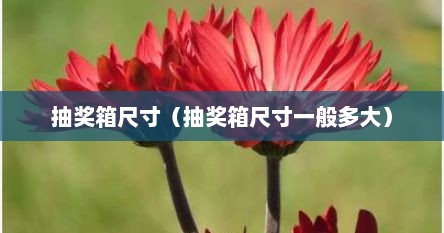 抽奖箱尺寸（抽奖箱尺寸一般多大）