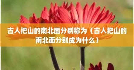 古人把山的南北面分别称为（古人把山的南北面分别成为什么）