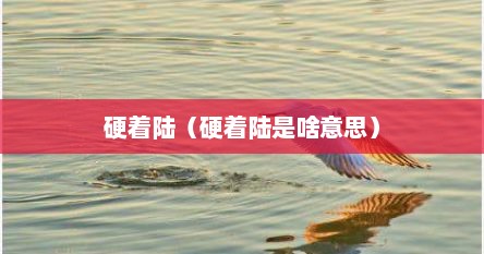 硬着陆（硬着陆是啥意思）