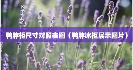 鸭脖柜尺寸对照表图（鸭脖冰柜展示图片）