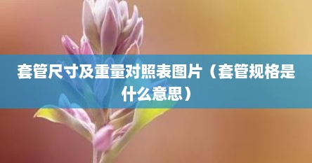 套管尺寸及重量对照表图片（套管规格是什么意思）