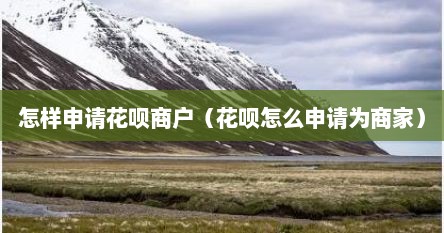 怎样申请花呗商户（花呗怎么申请为商家）