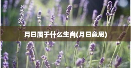 月日属于什么生肖(月日意思)