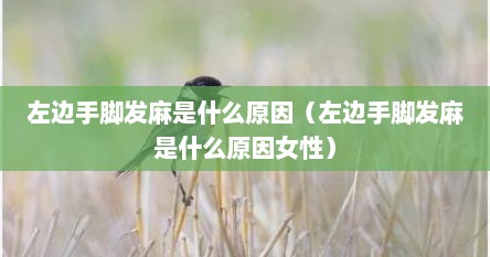 左边手脚发麻是什么原因（左边手脚发麻是什么原因女性）