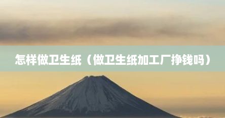 怎样做卫生纸（做卫生纸加工厂挣钱吗）