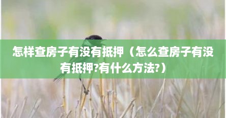 怎样查房子有没有抵押（怎么查房子有没有抵押?有什么方法?）