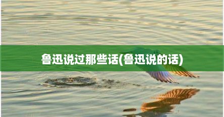 鲁迅说过那些话(鲁迅说的话)