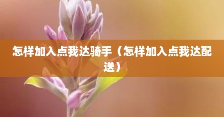 点我达外卖骑手怎么加入（怎么加入点我达兼职骑手）