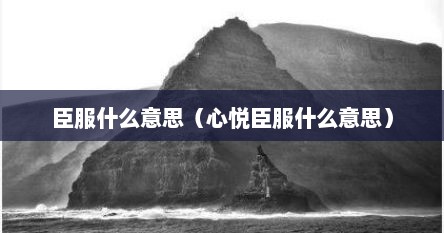 臣服什么意思（心悦臣服什么意思）