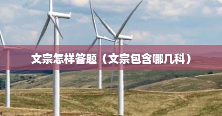 文宗怎样答题（文宗包含哪几科）