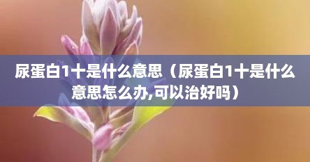 尿蛋白1十是什么意思（尿蛋白1十是什么意思怎么办,可以治好吗）