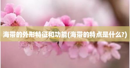 海带的外形特征和功能(海带的特点是什么?)
