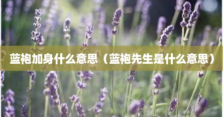 蓝袍加身什么意思（蓝袍先生是什么意思）