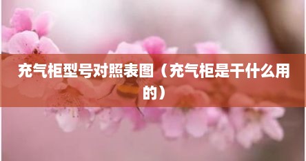 充气柜型号对照表图（充气柜是干什么用的）