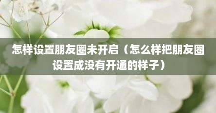 怎样设置朋友圈未开启（怎么样把朋友圈设置成没有开通的样子）
