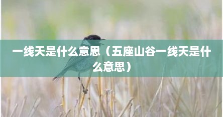 一线天是什么意思（五座山谷一线天是什么意思）