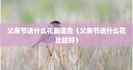 父亲节送什么花最适合（父亲节送什么花比较好）