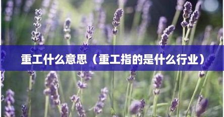 重工什么意思（重工指的是什么行业）