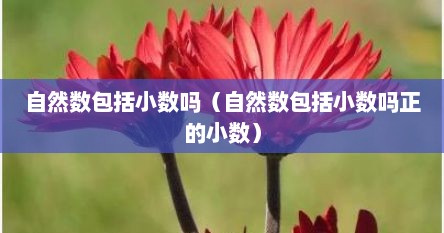 自然数包括小数吗（自然数包括小数吗正的小数）
