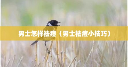 男士怎样祛痘（男士祛痘小技巧）