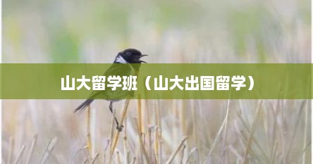 山大留学班（山大出国留学）