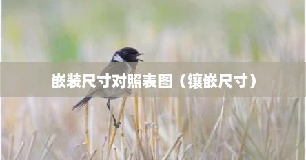 嵌装尺寸对照表图（镶嵌尺寸）