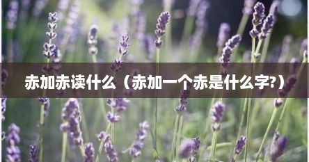 赤加赤读什么（赤加一个赤是什么字?）