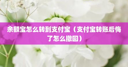 余额宝怎么转到支付宝（支付宝转账后悔了怎么撤回）