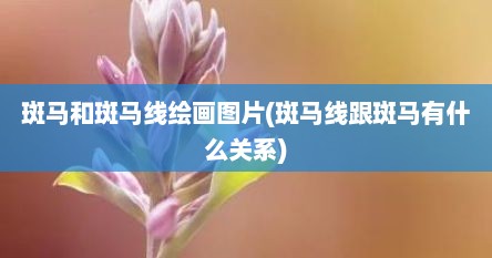 斑马和斑马线绘画图片(斑马线跟斑马有什么关系)