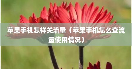 苹果手机怎样关流量（苹果手机怎么查流量使用情况）