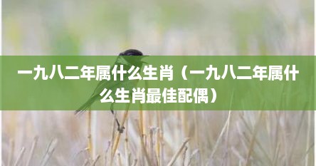 一九八二年属什么生肖（一九八二年属什么生肖最佳配偶）