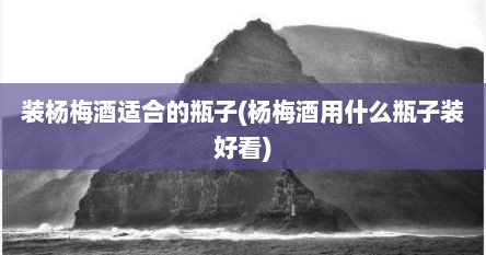 装杨梅酒适合的瓶子(杨梅酒用什么瓶子装好看)