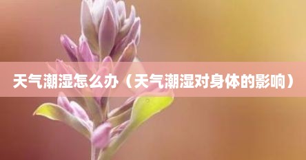 天气潮湿怎么办（天气潮湿对身体的影响）