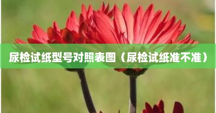 尿检试纸型号对照表图（尿检试纸准不准）