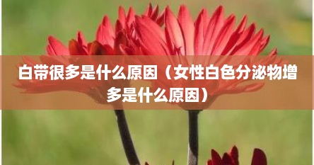 白带很多是什么原因（女性白色分泌物增多是什么原因）
