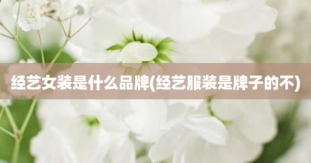 经艺女装是什么品牌(经艺服装是牌子的不)