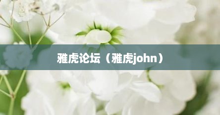 雅虎论坛（雅虎john）