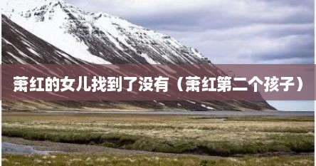 萧红的女儿找到了没有（萧红第二个孩子）