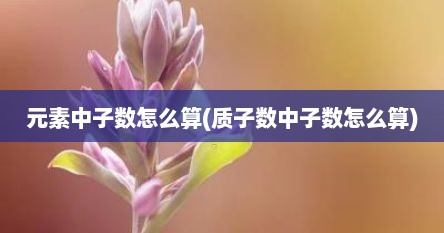 元素中子数怎么算(质子数中子数怎么算)