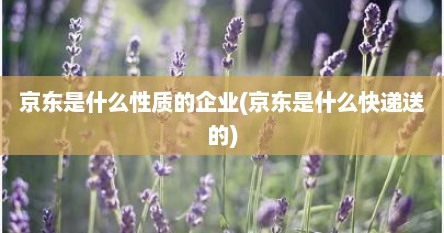 京东是什么性质的企业(京东是什么快递送的)