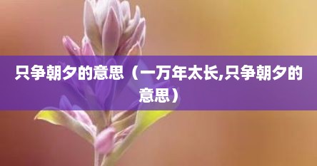 只争朝夕的意思（一万年太长,只争朝夕的意思）