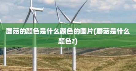 蘑菇的颜色是什么颜色的图片(蘑菇是什么颜色?)