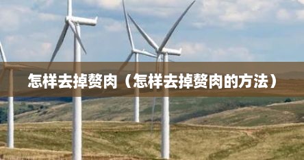 怎样去掉赘肉（怎样去掉赘肉的方法）