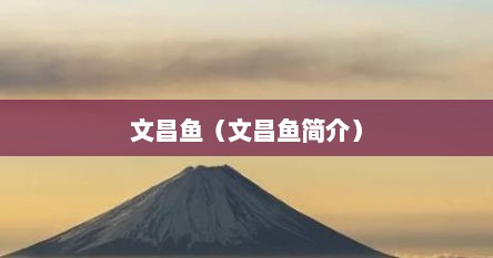 文昌鱼（文昌鱼简介）