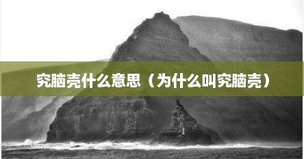 究脑壳什么意思（为什么叫究脑壳）