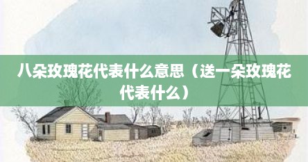 八朵玫瑰花代表什么意思（送一朵玫瑰花代表什么）