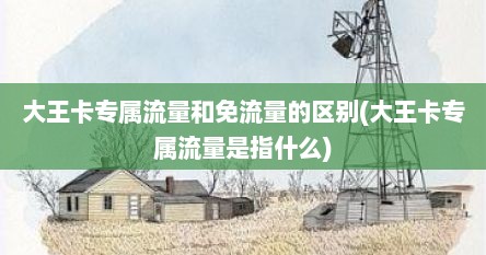 大王卡专属流量和免流量的区别(大王卡专属流量是指什么)